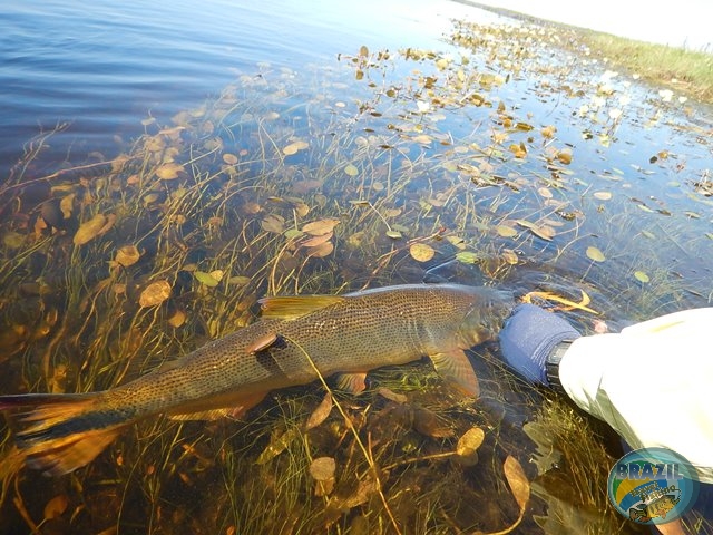 PIRA LODGE - Pantanal Argentino - Temporada 2.016